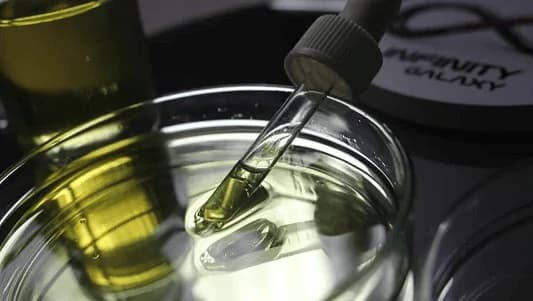 Weekly Lubricant & Chemical Report: Uncertain Market Trend
