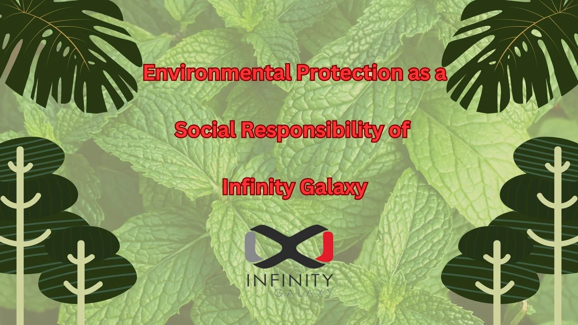 Environmental Protection as a Social Responsibility of Infinity Galaxy