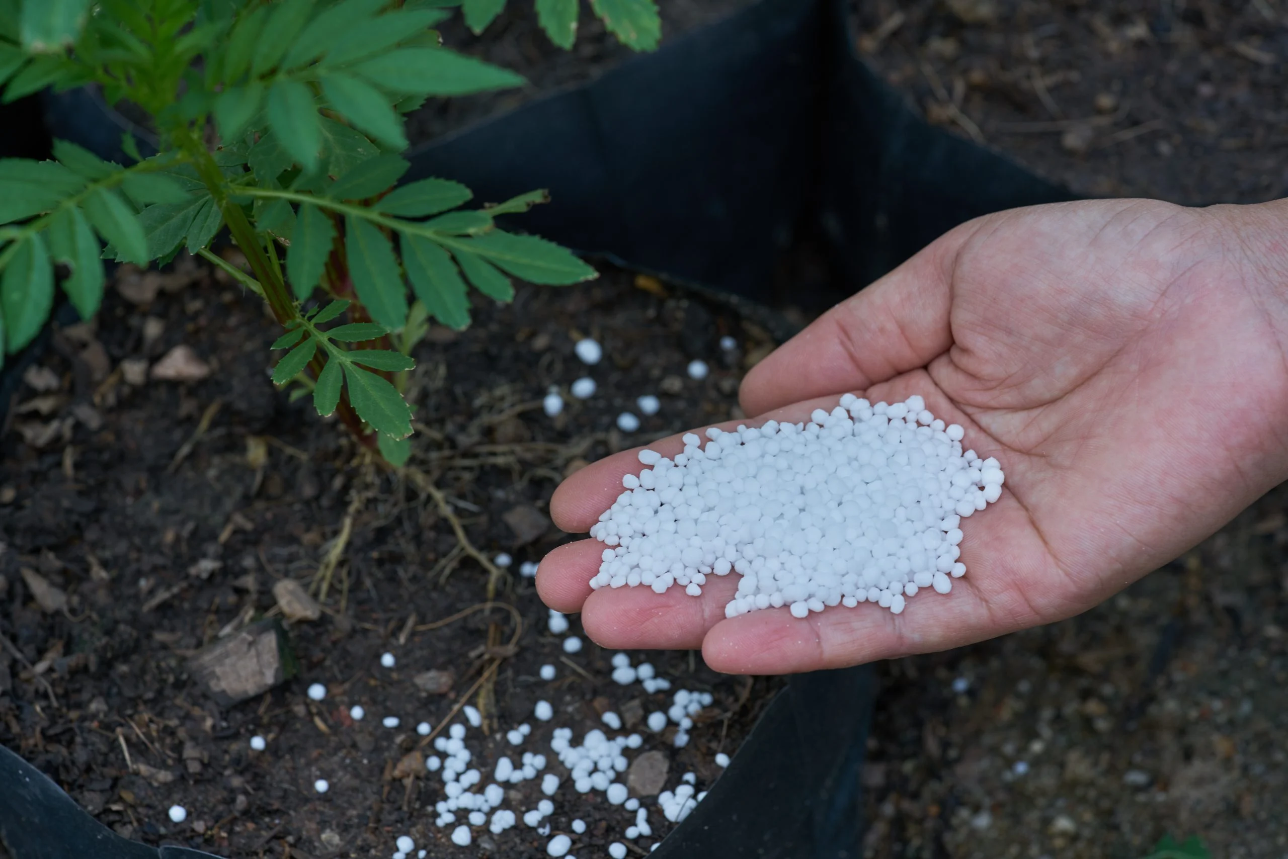 Urea Types: Prilled vs Granular